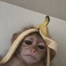 Egoridze Murz
